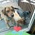 Judy Holloway's profile image