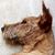 Zee Coats's profile image