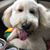 Kelley Reichert Ross's profile image