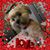 Toni Wright Keisler's profile image