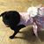 Nancy Roepke's profile image