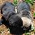 Weylin Martin's profile image