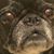 Sara McCandless's profile image