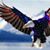 Lisa Bethea Larkin's profile image