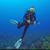 Terry Van Williams's profile image