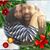 Felipe Velazco's profile image