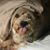 Janie Kellams Sweet's profile image