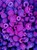 Fishsticks B.'s profile image