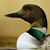 Spieg Mike's profile image