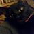 Crystal Lynn Stipelcovich's profile image
