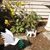 Julie McSorley Durovchic's profile image