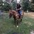 Shawna Oberhansly's profile image