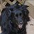 Linda Draper Eng's profile image