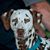 Jane Youell Hopkins's profile image