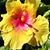 Marylou Foley's profile image