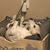 Vicki Davenport's profile image