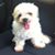 Marta Haydee's profile image