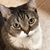 Ellen Ohms's profile image