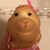 Laura Myers's profile image