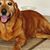 Chuck Jones's profile image