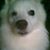 Shannon Marcum Flatt's profile image