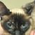 BJ Drake's profile image
