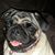 Kalleen Kreps's profile image