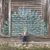 Rachel Osterhout's profile image