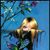 Ruth E Intili's profile image