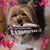 Edyne Gibson's profile image