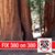 Jan Clare's profile image