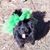 Nanette Sanderson Sparrow's profile image