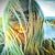 Debi Aldoroty's profile image