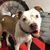 Amy Clauser's profile image