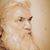 Barry Boston Caraway's profile image