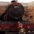 Karyn McCombs's profile image