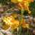 Marianne Zaia-Ort's profile image