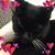 Linda Magazu's profile image
