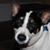 Lisa Raulerson Larson's profile image