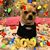 Nunez Diana Oropeza Nunez's profile image