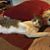 Paula Garrison Herston's profile image