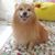 Renz Ramos's profile image