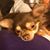 Cindy Rulo Capriglione's profile image