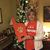 Cindy Long Jackson's profile image