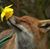 Jerome Trombley's profile image