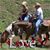 Teresa Lambert Adams's profile image