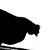 Bill Averbach's profile image