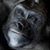 Jeff Cole's profile image