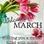 Gail Falkinburg-Jones's profile image
