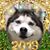 Pat Tetrault's profile image